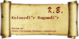 Koloszár Bagamér névjegykártya
